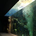 Big aquarium