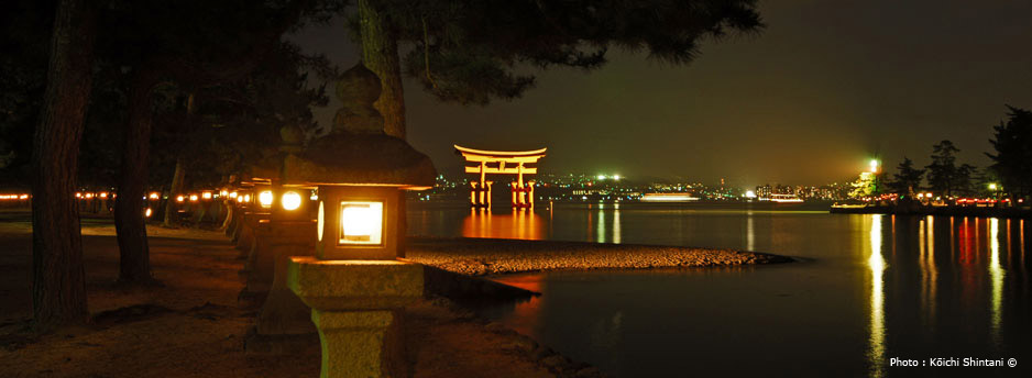 Illumination with the great Torii