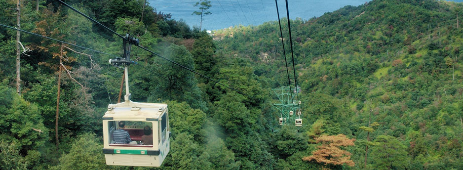 View from the ropeway