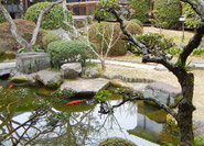 The Museum Garden