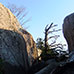 Alentours du sommet du Mont Misen