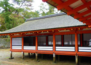 Asazaya