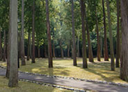 Camping de Tsutsumigaura