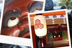 Photos variées de Miyajima