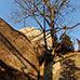 Gros rochers