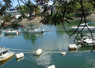 Les rivières d'Hiroshima