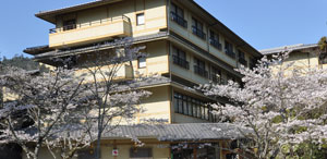 Miyajima Morinoyado Inn