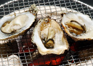 Huîtres grillées