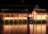 Illuminations nocturnes