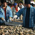 Fête des huîtres, Miyajima
