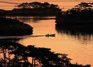 Matsushima