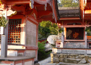 Miyama