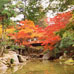 Parc Momijidani