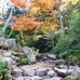 Rivière Momijidani