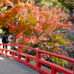 Pont Momijidani