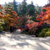 Parc Momijidani