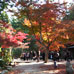 Parc Fujinotana