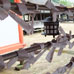 Omikuji
