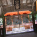 Intérieur du Sanctuaire Omoto