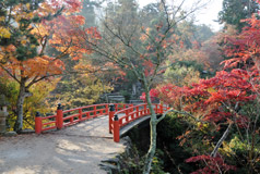 Parc Momji