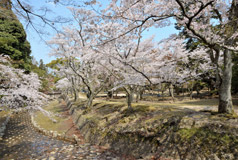 Parc Omoto
