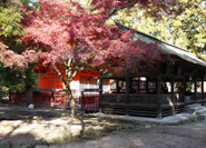 Parc & Sanctuaire Omoto