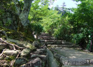 Parcours Asebi (Marches montant à la Pagode Tahoto)