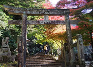 Départ du parcours Daisho-in