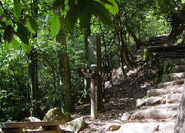 Parcours Momiji