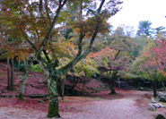 Parcours Momiji