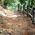 Parcours Momijidani
