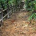 Parcours Momijidani
