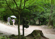 Parcours Tsutsumigaura