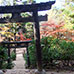 Parcours Momiji