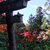 Parcours Momiji