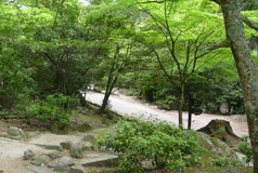 Promenade dans la nature