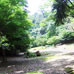 Forêt Monbayashi sur le sentier Asebi