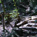 Parcours Momijidani