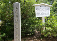 Stèle de la forêt primitive
