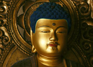 Shakanyorai Gojuto