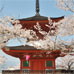 Tour Tahoto au milieu des sakura