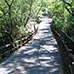 Sentier Uguisu en été