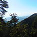 Vue du chemin menant au Sanctuaire Miyama-jinja