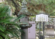 Yasuyori Toro